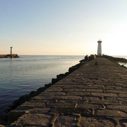 Grau d'Agde - Tamarisière