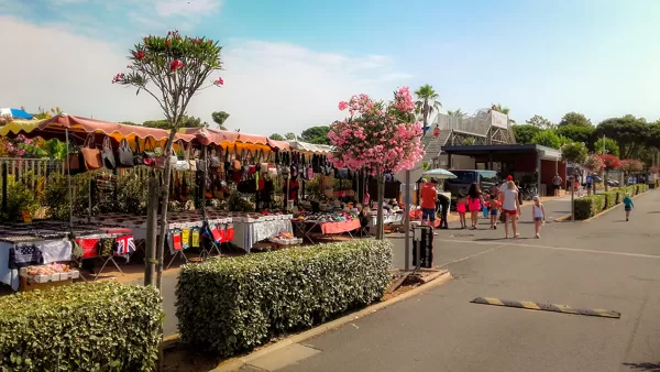 marchés dans le domaine 
