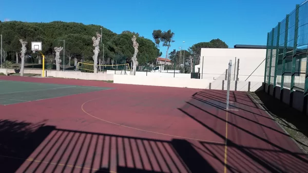 Terrains de sports